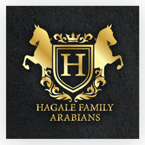 Hagale Family Arabians