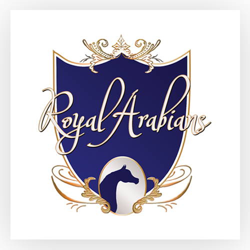 Royal Arabians