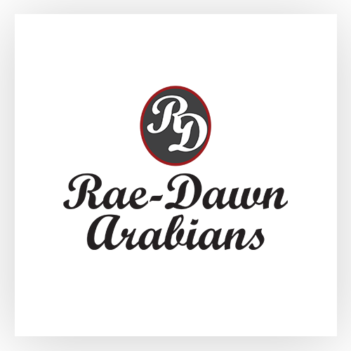 Rae Dawn Arabians