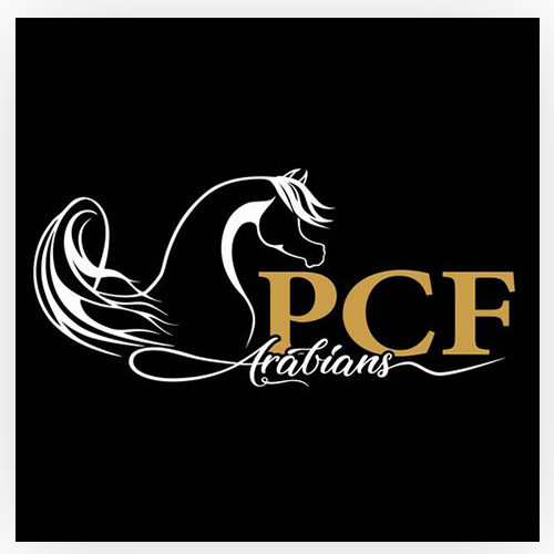 PCF Arabians